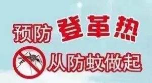 登革熱已進(jìn)入流行季，吳興區(qū)疾控中心發(fā)布防疫提醒
