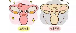 【四院|科普】膏方系列8：恐慌！年紀(jì)輕輕卵巢早衰了？