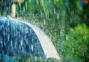 【四院|科普】：潮濕濕濕濕濕！梅雨季節(jié)如何養(yǎng)生？送你一份黃梅天養(yǎng)生小貼士